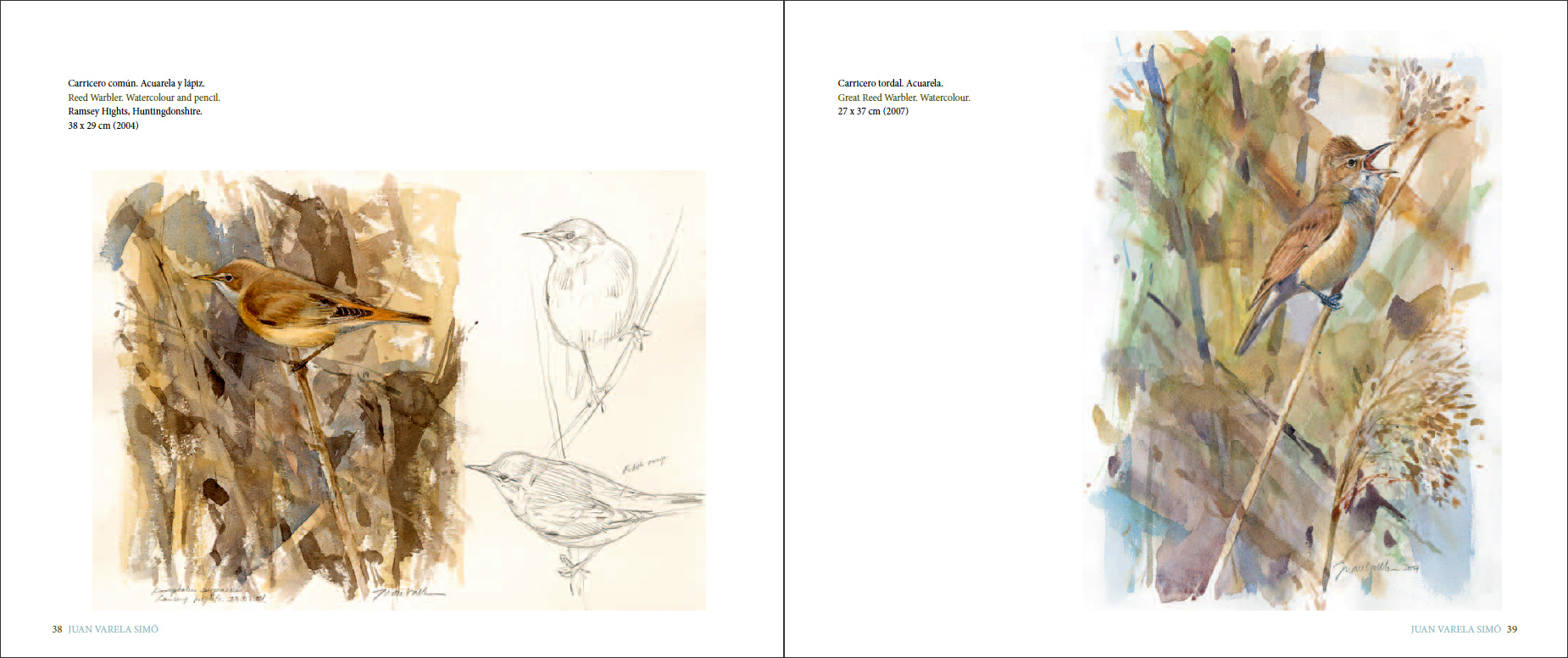 Sample page of La forma del viento / Shaped by the wind La forma del viento / Shaped by the wind sample page